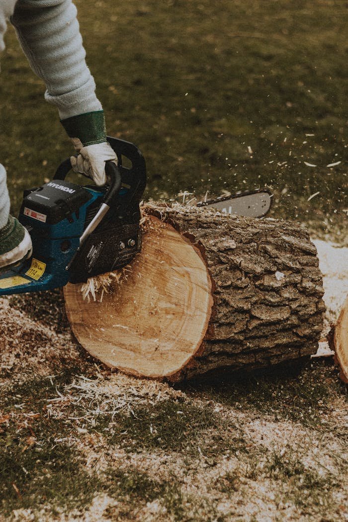 Close-up of a chainsaw cutting wood in an outdoor rural environment.